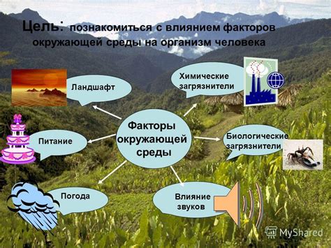 Генетические факторы и воздействие среды