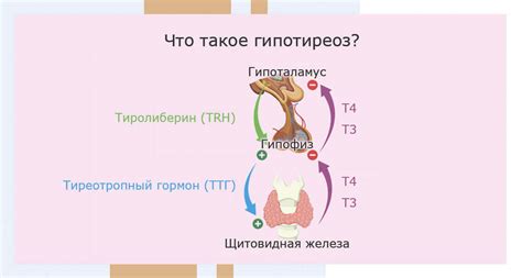 Гипотиреоз и его влияние на голову