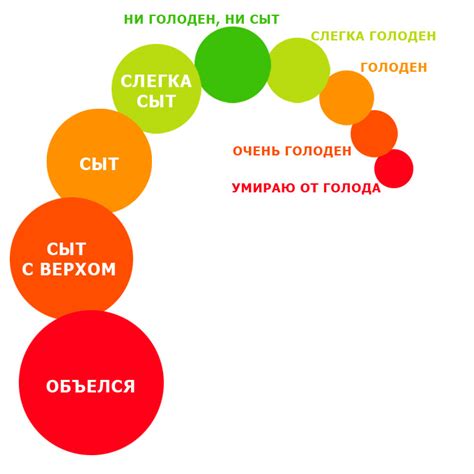 Голод и питание: взаимосвязь искусственного сытости