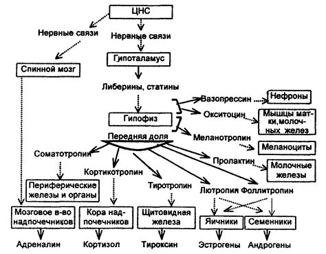 Гормональная реакция