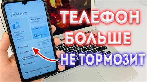 Грифы в деревне: проблемы и решения