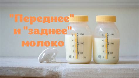 Грудное молоко после родов: польза для ребенка и мамы