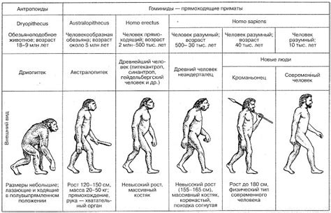 Датировка самого раннего человеческого окутника