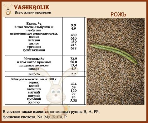 Дают ли кроликам хлеб и сухари: полезно или вредно?