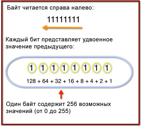 Двоичное число и его представление