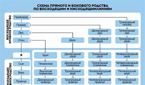 Двоюродная бабушка: насколько близки отношения?