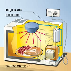 Действие микроволновой печи на бактерии и микробы