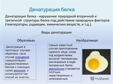 Денатурация белка: внешние факторы и последствия