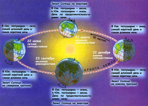 День солнца в зените и животный мир