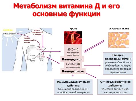 Дефицит витамина D и волосы