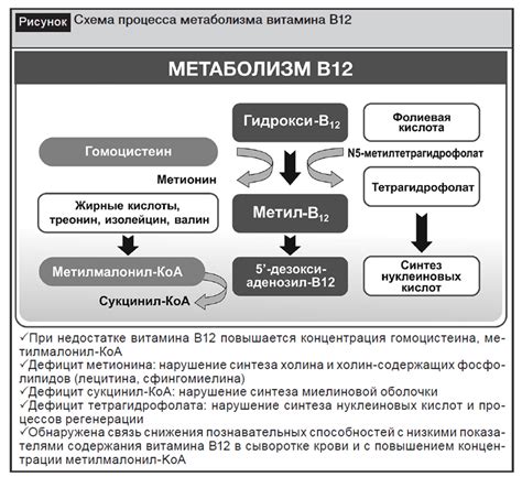 Дефицит фолиевой кислоты и риск кровотечений