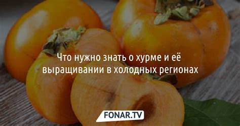 Диабет и питание: что нужно знать о хурме?