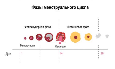 Диагностика ПМС