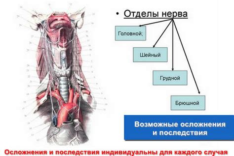 Диагностика нарушенной работы блуждающего нерва