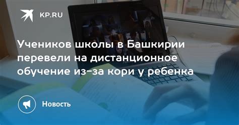 Дистанционное обучение в Башкирии: перспективы и прогнозы на будущее