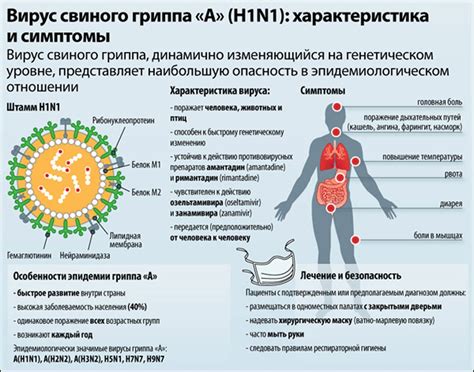 Длительность заразности и период высыпаний