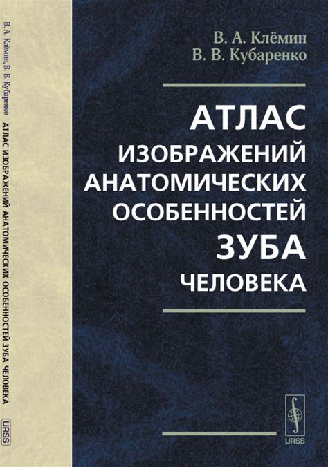 Добавление анатомических особенностей