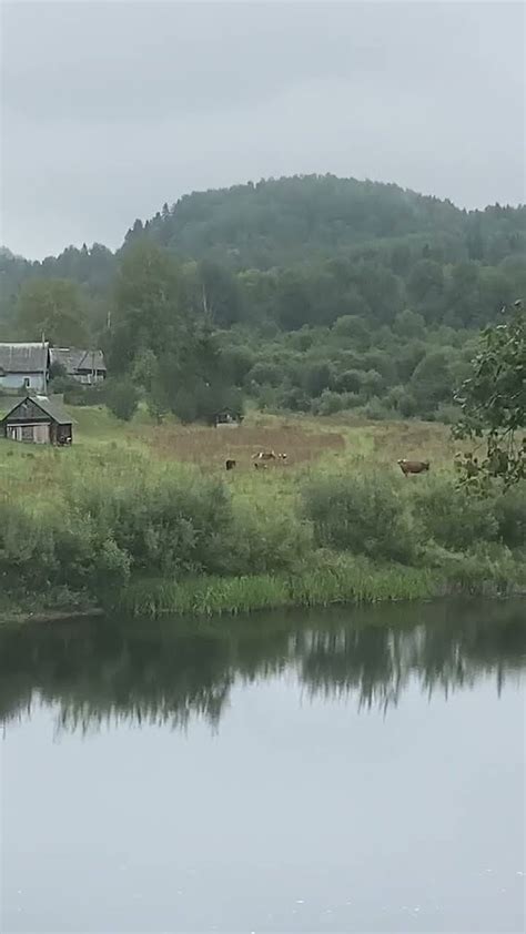 Долгий процесс подготовки