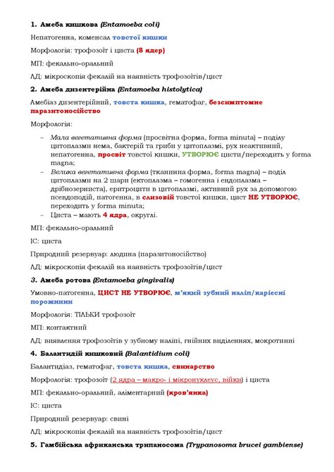 Дополнительная информация о кошачьих паразитах и их воздействии на человека