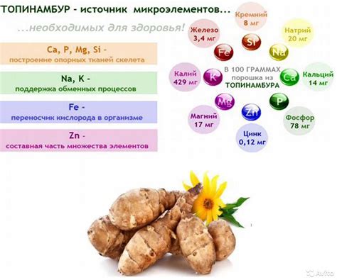 Дополнительные преимущества сиропа топинамбура