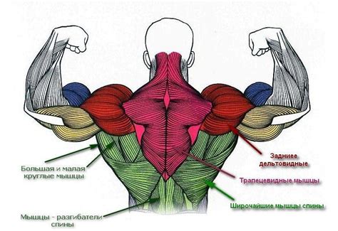 Дополнительные способы укрепления мышц спины