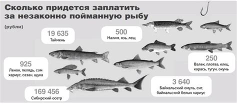 Допустимые порции малосольной рыбы для пациентов с диабетом