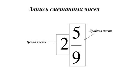 Дробные числа: натуральные или нет?