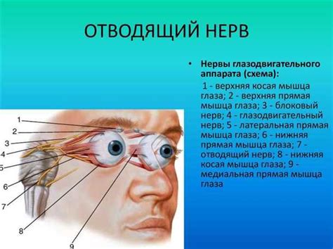 Естественные методы и альтернативные подходы к восстановлению зрительных функций