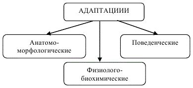 Естественные механизмы адаптации