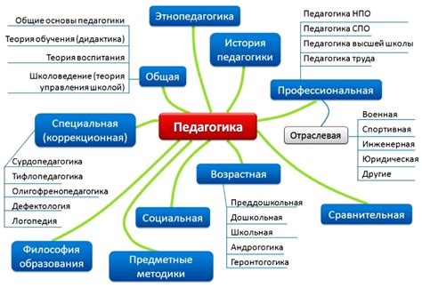 Есть ли альтернативные пути в области педагогики для школьников?