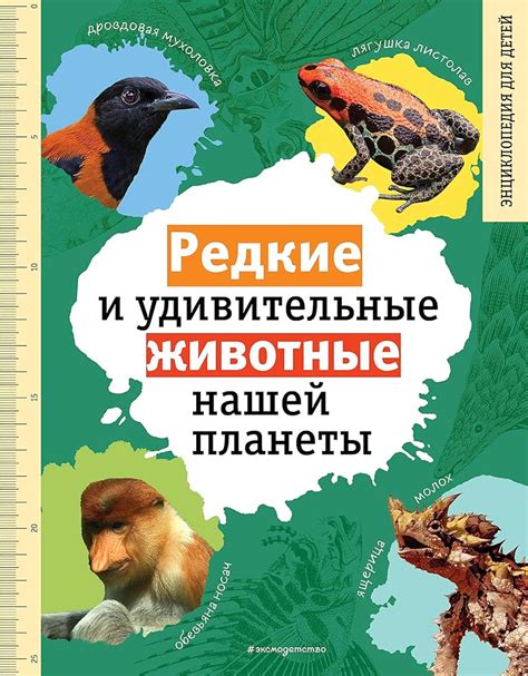 Животные без нервной системы: удивительные создания нашей планеты