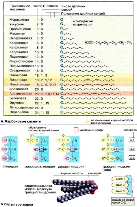 Жирные кислоты и предотвращение седины