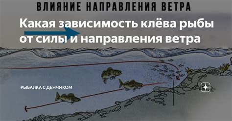 Зависимость аппетита рыбы от направления ветра