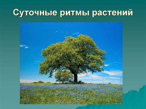 Зависимость от времени года и условий окружающей среды