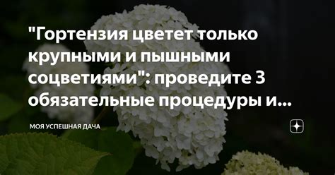 Закрепите результат и проведите посленапиточные процедуры