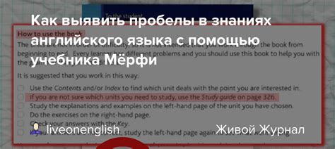 Закройте пробелы в знаниях с помощью учебников и литературы