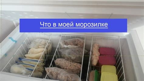 Замораживание вешенок в морозильной камере: основные правила