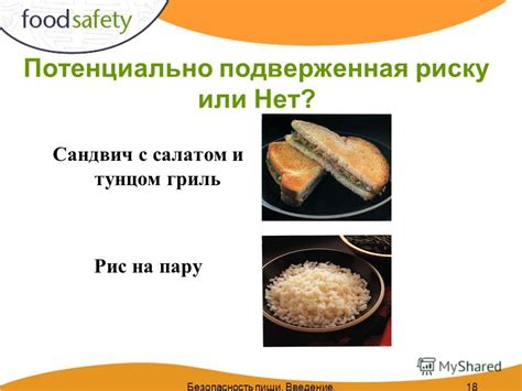 Запекание пищи на обычной бумаге: безопасность и возможности