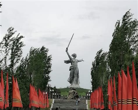 Запись собаки на поезд