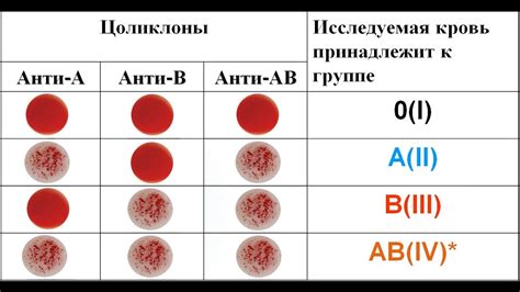 Заполнение и отправка запроса на определение группы крови