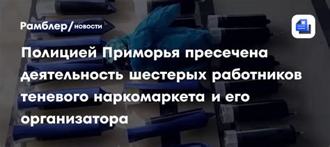 Запуск теневого театра и оценка его успешности