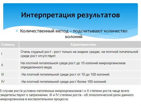 Запуск утилиты и интерпретация результатов