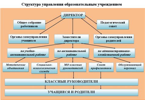 Затронутые сферы образования