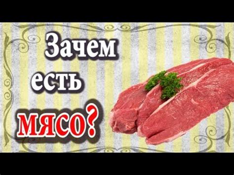 Зачем есть мясо круглый год: фантазия или потребность?