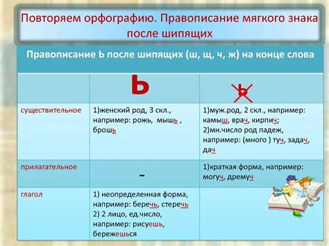 Зачем нужно знать правило написания мягкого знака