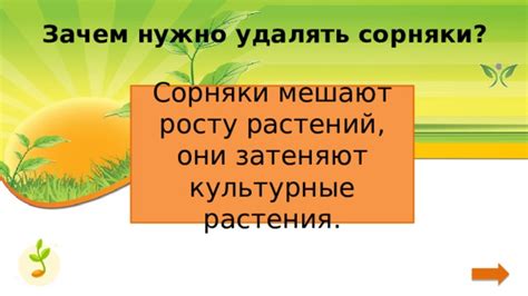 Зачем нужно удалять остатки растений и сорняки перед зимой?