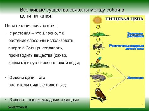 Значение бабьего лета для экосистемы