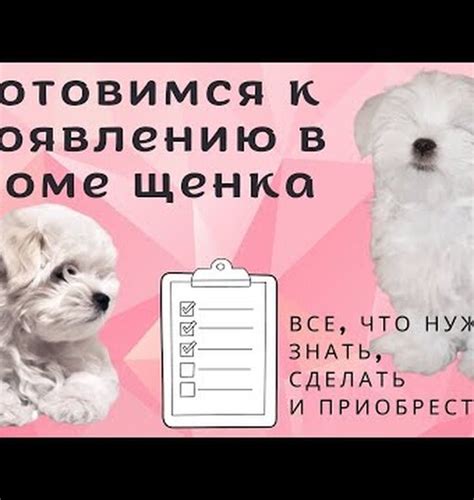 Значение диеты для щенка