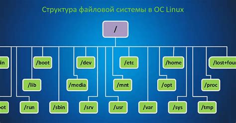 Значение определения файловой системы в Linux