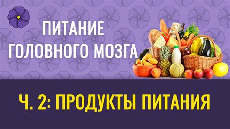 Значение питания для развития головного мозга